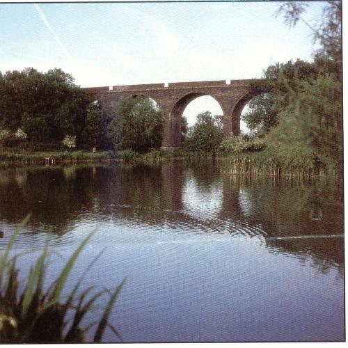 Viaduct Fishery, Somerton